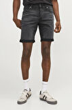 JJIRICK JJFOX SHORTS 50SPS CB 344 SN 