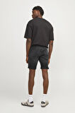 JJIRICK JJFOX SHORTS 50SPS CB 344 SN 