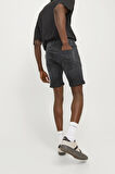 JJIRICK JJFOX SHORTS 50SPS CB 344 SN 