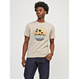JJSUMMER VIBE TEE SS CREW NECK LN ERKEK T-SHIRT