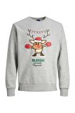 Jack & Jones Erkek Sweatshirts 12247523