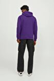 JACK&JONES JCOLOGAN SWEAT HOOD AW23 MOR