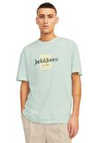 Jack & Jones Erkek Tişört 12250436