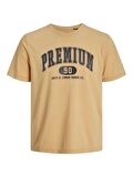Jack&Jones Jprblusebastian Ss Tee Erkek T-shirt