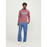 JJELOGO HOOD 2 COL 23/24 ERKEK SWEAT