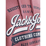 JJELOGO HOOD 2 COL 23/24 ERKEK SWEAT