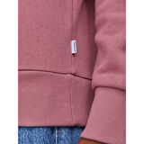 JJELOGO HOOD 2 COL 23/24 ERKEK SWEAT