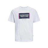 Jack & Jones Erkek T-Shirt 12252681