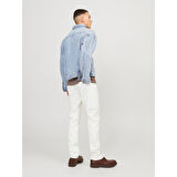 JJIGLENN JJEVAN CJ 977 SN ERKEK JEAN PANTOLON