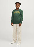 Jack & Jones Baskılı Erkek Koyu Yeşil Sweatshırt JJEJOSH SWEAT CREW NECK NOOS JNR