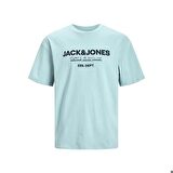 Jack Jones Tişört Gale O Neck