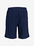 Jack&Jones Jpstkarl Jjsummer Erkek Şort