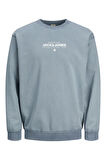 JprBlulake Sweatshirt 12251098