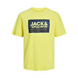 Jack & Jones 12253442 Jcologan Tee SS Crew Neck SS24 Ln Sarı