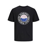 Jack & Jones Erkek T-Shirt 12250411