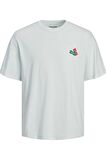 JACK&JONES JORDECAL TEE SS CREW NECK TG LN12254175 A.GRİ