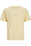 JORFADED SS TEE CREW NECK 