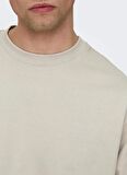 Only & Sons O Yaka Baskılı Açık Bej Erkek T-Shirt ONSLES CLASSIQUES RLX SS TEE