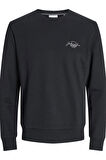 JJFERRIS SWEAT CREW NECK SİYAH12256837