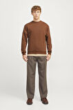 JJEBRADLEY SWEAT CREW NOOS TARÇIN12249341 