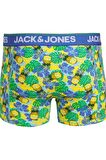 JACK&JONES JACPINEAPPLE SKULL TRUNKS 3 PACK SN 12255839 MAVİ