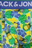 JACK&JONES JACPINEAPPLE SKULL TRUNKS 3 PACK SN 12255839 MAVİ
