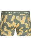 JACK&JONES JACBAHAMAS TRUNK SN 12260592 HAKİ