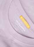 Jack & Jones Bisiklet Yaka Lila Erkek T-Shirt JORARUBA PUFF BRANDING TEE SS CREW
