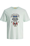 Jack&Jones Erkek T-Shirt 12255192