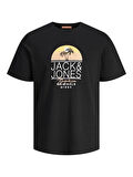 Jack Jones Erkek Jorcasey Tee Yuvarlak Yaka Siyah Tişört 12257130