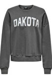 ONLJOLANA L/S GLITTER O-NECK SWT GRİ 15304729