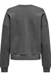ONLJOLANA L/S GLITTER O-NECK SWT GRİ 15304729