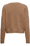 ONLTERESA LIFE LS V-NECK CARDIGAN CC KNT S.KAHVE 15326110
