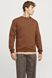 JJEBRADLEY SWEAT CREW NOOS TARÇIN12249341 