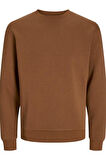 JJEBRADLEY SWEAT CREW NOOS TARÇIN12249341 