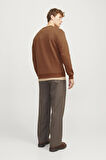 JJEBRADLEY SWEAT CREW NOOS TARÇIN12249341 
