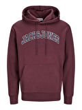 Jack & Jones Jjecaleb Varsity Erkek Sweatshirt