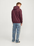 Jack & Jones Jjecaleb Varsity Erkek Sweatshirt