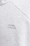 JJESTAPLE SWEAT HOOD GRİMELANJ12258488