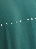 Jack Jones Erkek Jjestar Deep Teal Bisiklet Yaka Yeşil Tişört 12234746