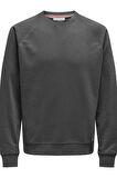 ONSMICHI LIFE REG CREW NECK SWEAT GRİ 22030618