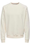 ONSMICHI LIFE REG CREW NECK SWEAT KREM 22030618