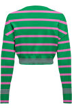 ONLIBI LS CROPPED PULLOVER CC KNT 
