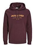 JJALVIS SWEAT HOOD Wine