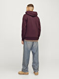JJALVIS SWEAT HOOD Wine