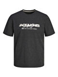 Jack Jones Erkek Jjalvis  Bisiklet Yaka Gri Tişört 12256803