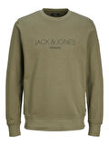 JPRBLAJARED SWEAT CREW NECK Sea Turtle