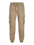 Jack Jones Stkane Erkek Kargo Pantolon 12242264