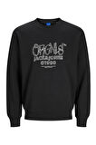 Jack & Jones Jorbushwick Erkek Sweat 12262850