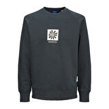 Jack & Jones Erkek Bisiklet Yaka Sweatshirt 12262958
